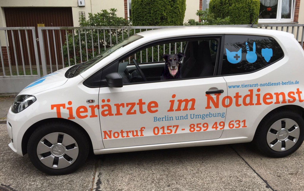 Urlaub mit Hund und Auto Tierärzte im Notdienst Berlin
